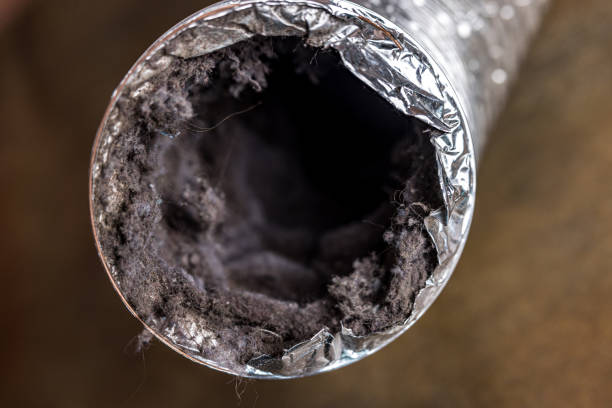 Trusted Lexington, SC Airduct Cleaning Experts