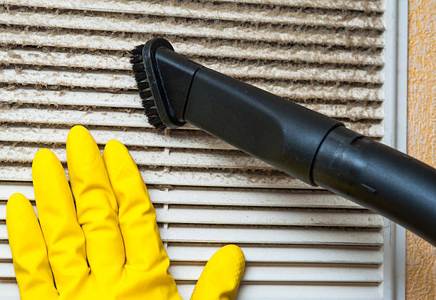 Air Duct Mold Removal in Lexington, SC